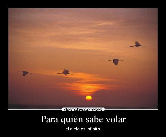Para quién sabe volar - el cielo es infinito.