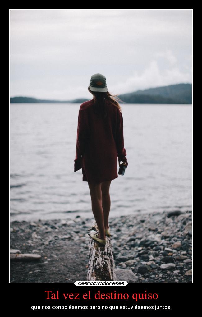 Tal vez el destino quiso -