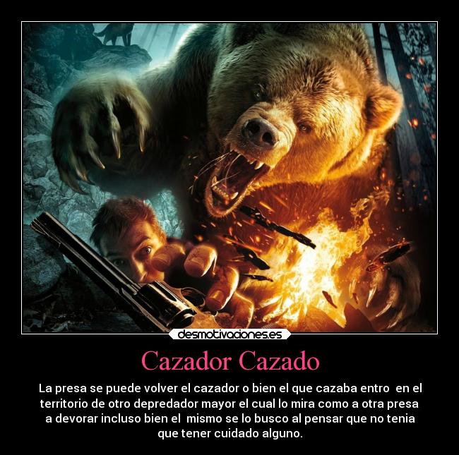 Cazador Cazado - La presa se puede volver el cazador o bien el que cazaba entro  en el
territorio de otro depredador mayor el cual lo mira como a otra presa
a devorar incluso bien el  mismo se lo busco al pensar que no tenia
que tener cuidado alguno.