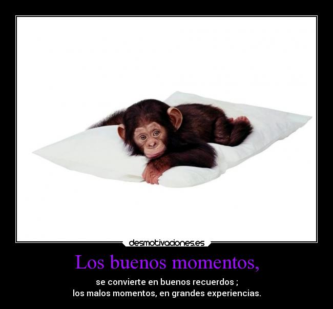 carteles destino recuerdo experiencia desmotivaciones