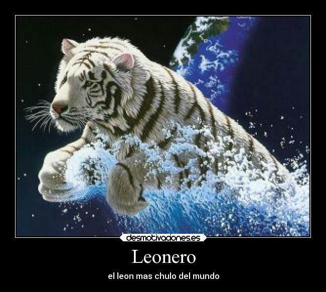 Leonero - el leon mas chulo del mundo
