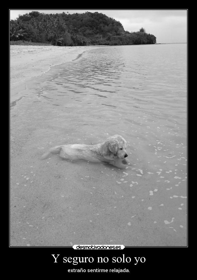 Y seguro no solo yo -