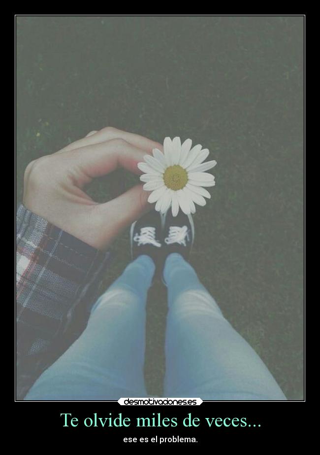 Te olvide miles de veces... - ese es el problema.
