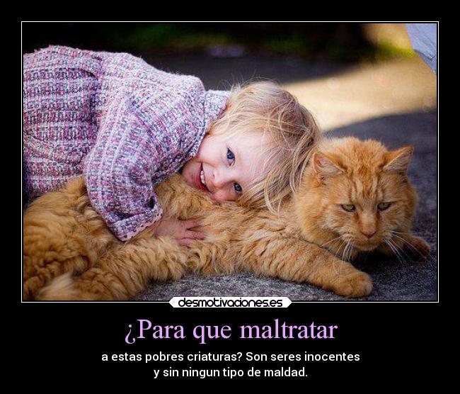 ¿Para que maltratar - 