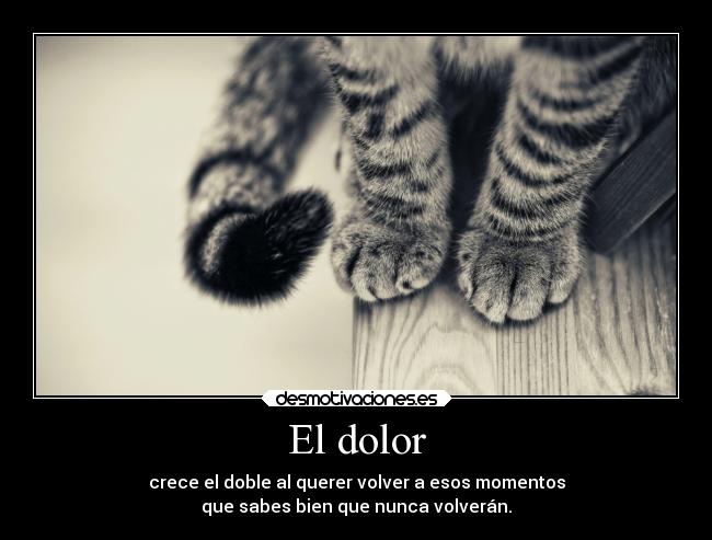 El dolor - crece el doble al querer volver a esos momentos
que sabes bien que nunca volverán.