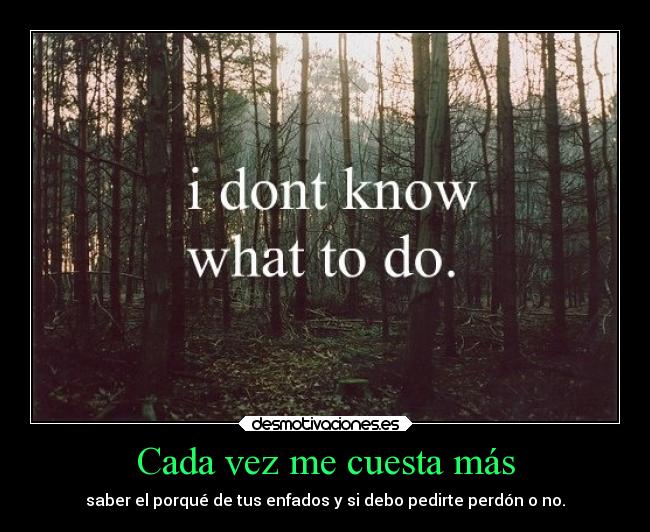 carteles enfados ilogicos gente rara perdon mesiento confusa nosequehacer porque desmotivaciones