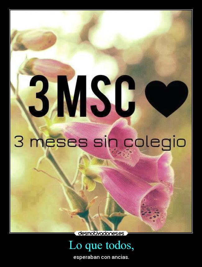 Lo que todos, - esperaban con ancias.