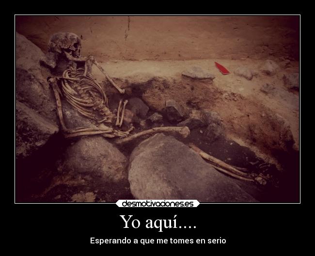 Yo aquí.... -