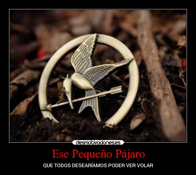 carteles esperanza los juegos del hambre desmotivaciones