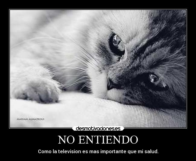 NO ENTIENDO - Como la television es mas importante que mi salud.