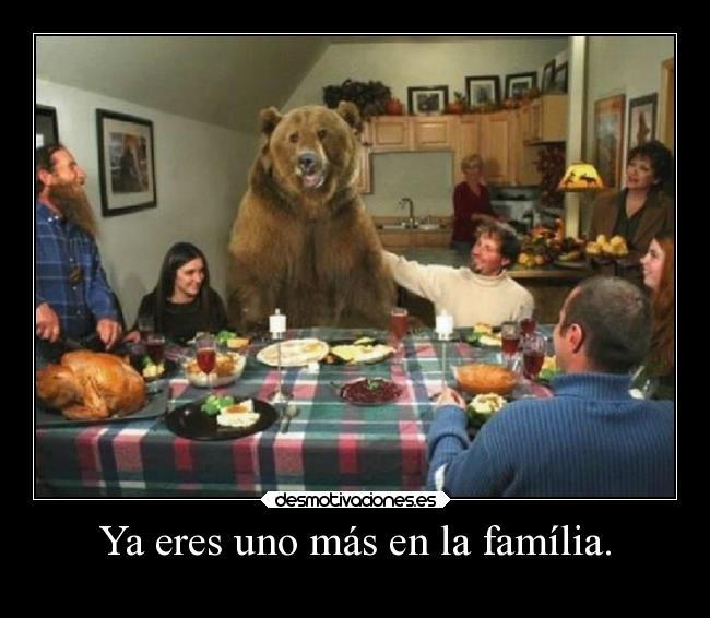 carteles familia humor desmotivaciones