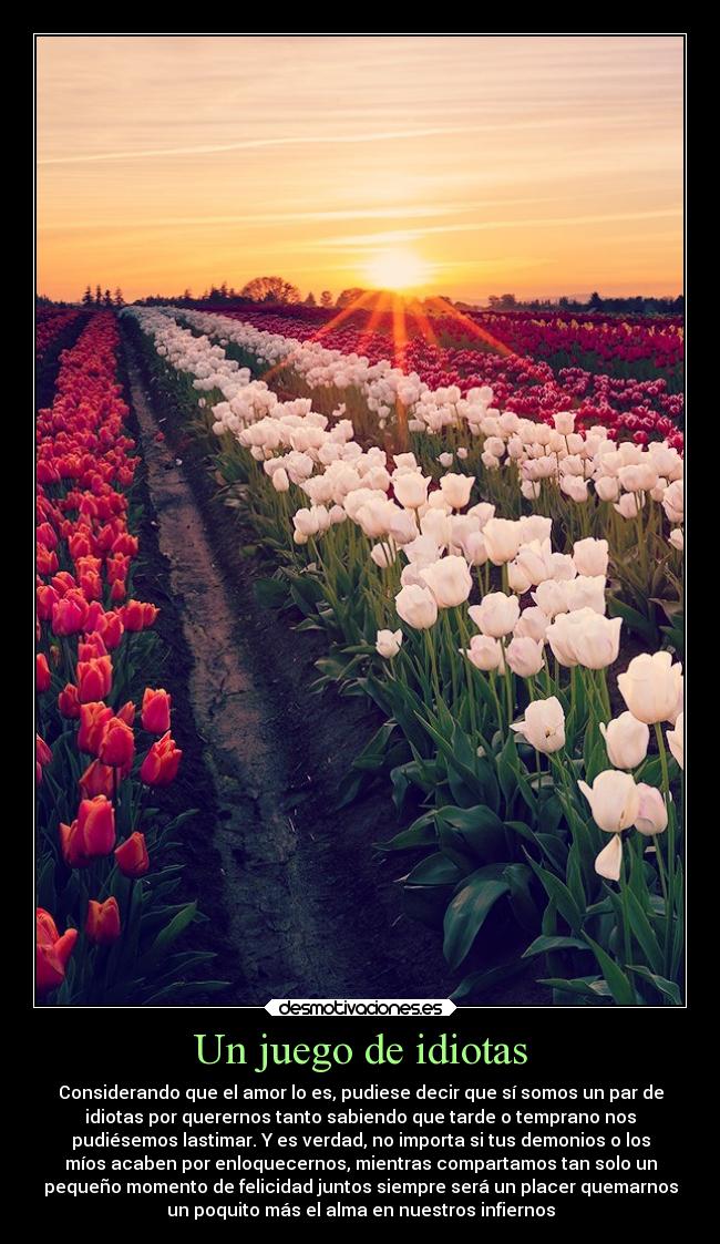 Un juego de idiotas - Considerando que el amor lo es, pudiese decir que sí somos un par de
idiotas por querernos tanto sabiendo que tarde o temprano nos
pudiésemos lastimar. Y es verdad, no importa si tus demonios o los
míos acaben por enloquecernos, mientras compartamos tan solo un
pequeño momento de felicidad juntos siempre será un placer quemarnos
un poquito más el alma en nuestros infiernos