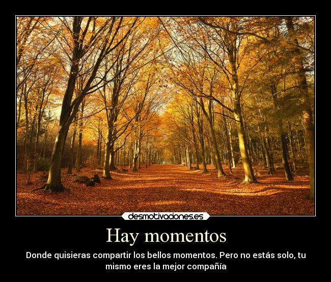 Hay momentos - Donde quisieras compartir los bellos momentos. Pero no estás solo, tu
mismo eres la mejor compañía