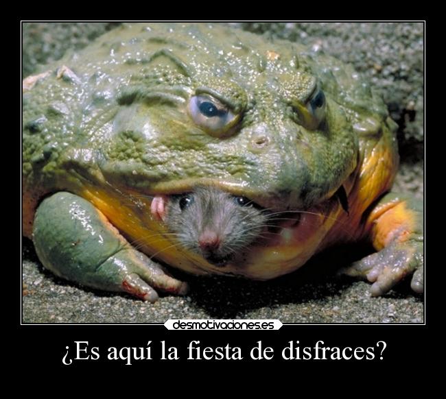 ¿Es aquí la fiesta de disfraces? -