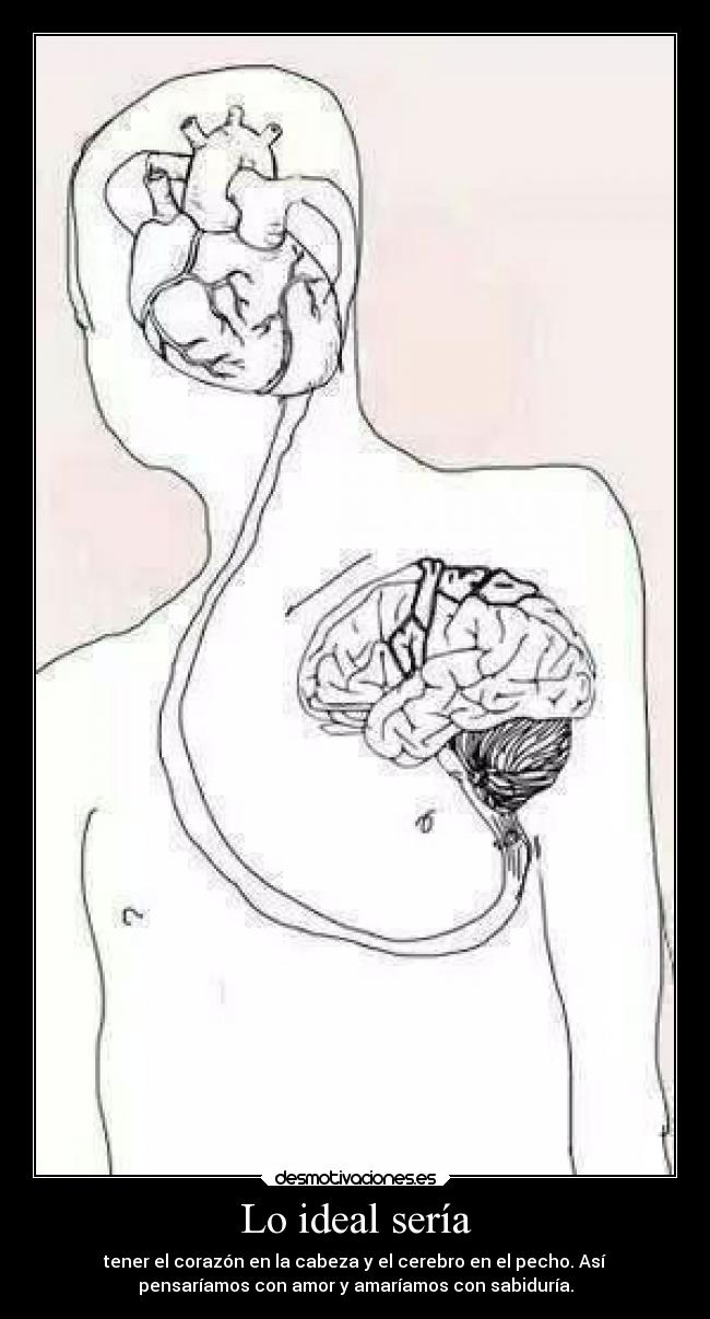 Lo ideal sería - tener el corazón en la cabeza y el cerebro en el pecho. Así
pensaríamos con amor y amaríamos con sabiduría.