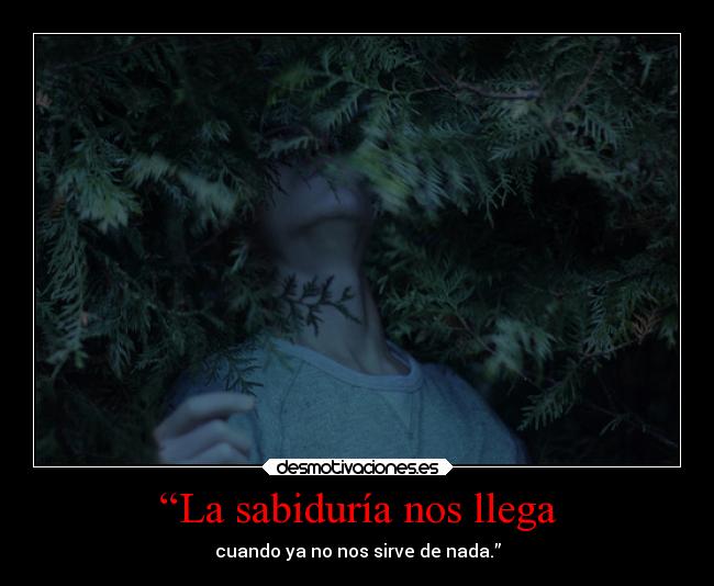 carteles frases kendizzzle kaff red glow kaffcitas sabiduria theshinyshadow mypukerainbows clandesplazado desmotivaciones