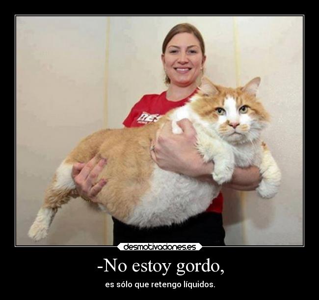 -No estoy gordo, -