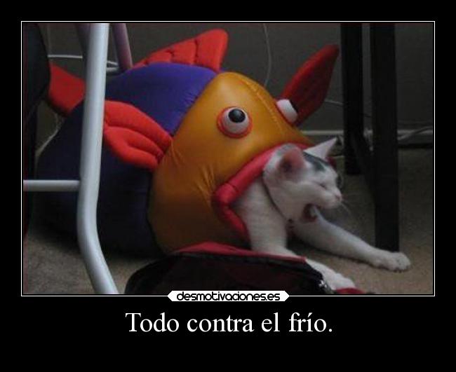 Todo contra el frío. - 