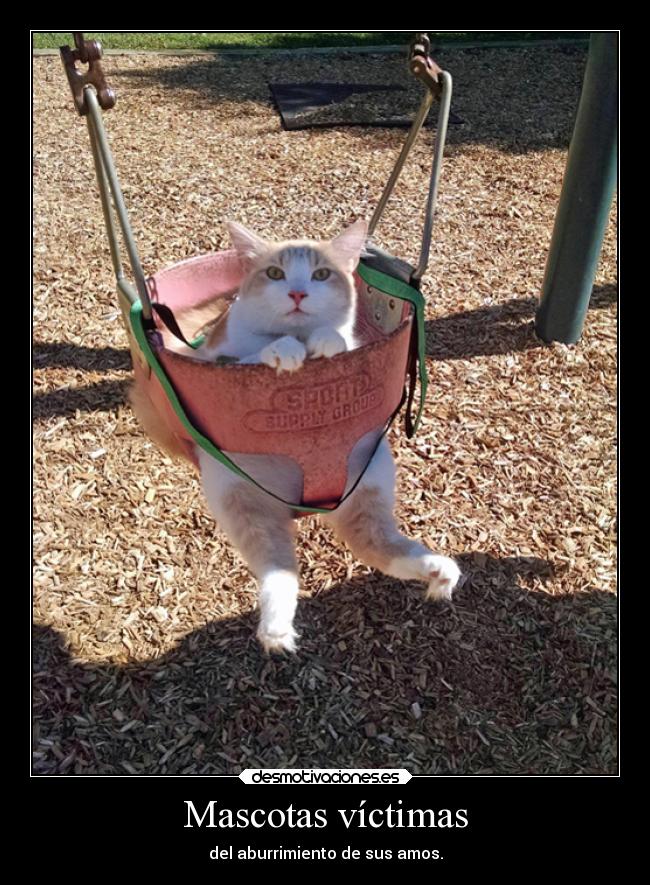 carteles gatos humor breathebreathe desmotivaciones