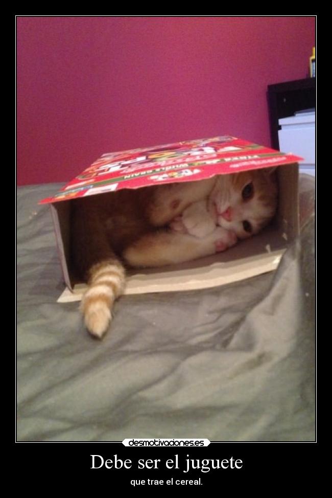 carteles gatos humor desmotivaciones