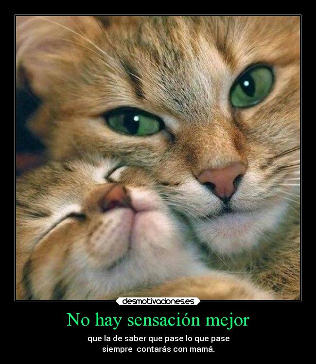 No hay sensación mejor - que la de saber que pase lo que pase
siempre contarás con mamá.