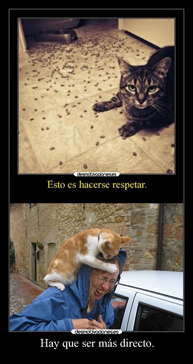 carteles gatos meh gato respetar directo motivadoradesmotivadora16 desmotivaciones