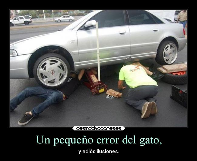 carteles gatos xappaainsite desmotivaciones