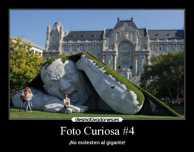 Foto Curiosa #4 - ¡No molesten al gigante!