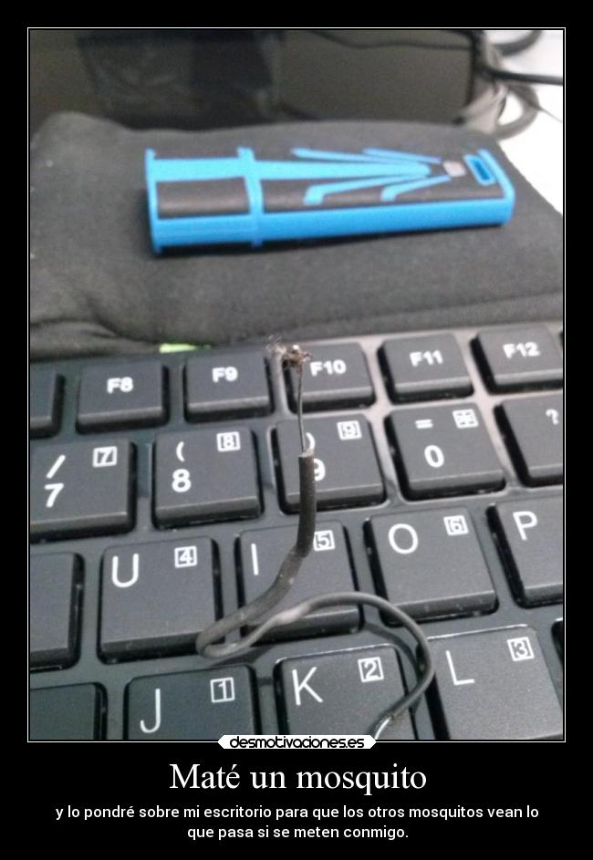 carteles graciosas humor desmotivaciones