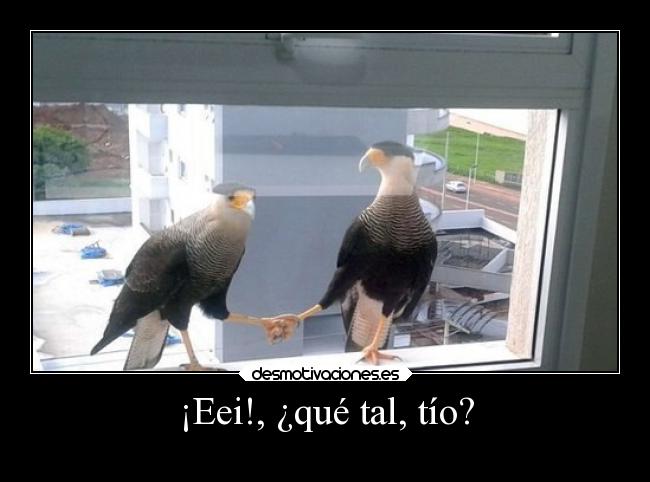 ¡Eei!, ¿qué tal, tío? - 