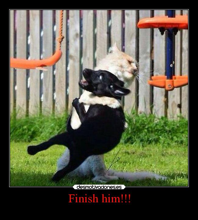 Finish him!!! -