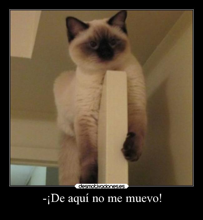 carteles humor breathe breathebreathe desmotivaciones