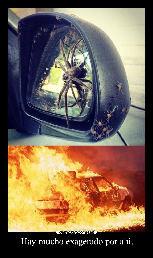 Hay mucho exagerado por ahí. -