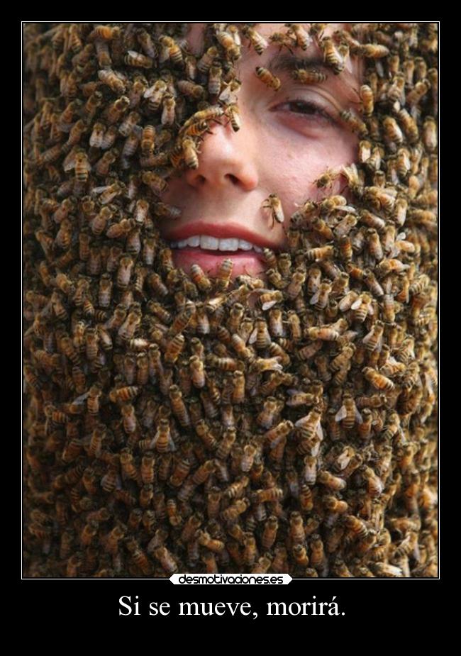 Si se mueve, morirá. -