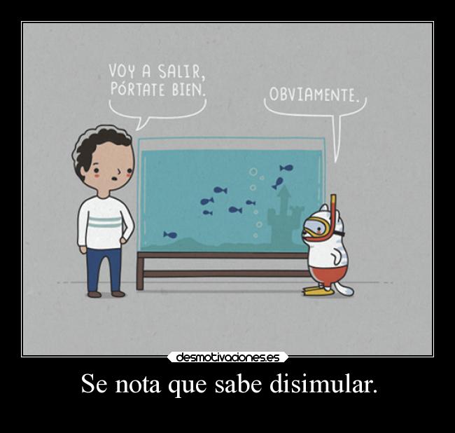 Se nota que sabe disimular. -