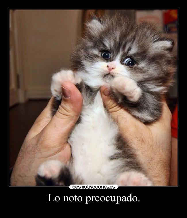 Lo noto preocupado. - 