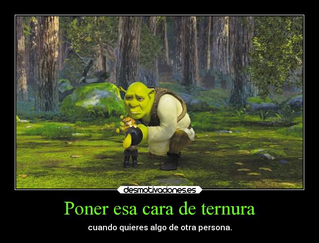 carteles humor cara ternura persona sherk gato desmotivaciones