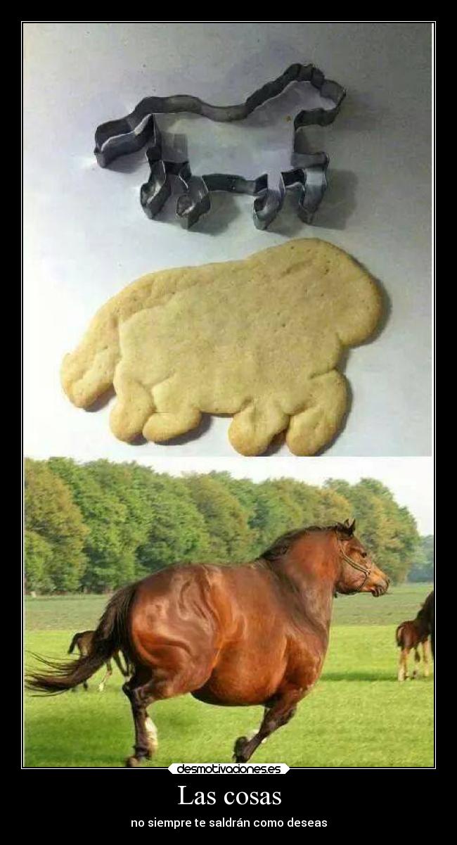 carteles humor desmotivaciones