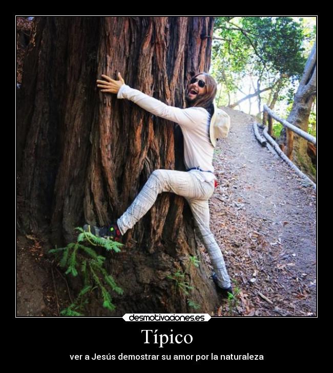 carteles humor desmotivaciones