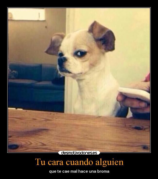 Tu cara cuando alguien -