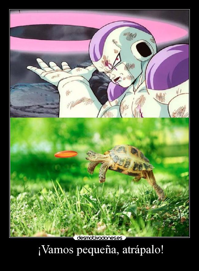 carteles humor desmotivaciones