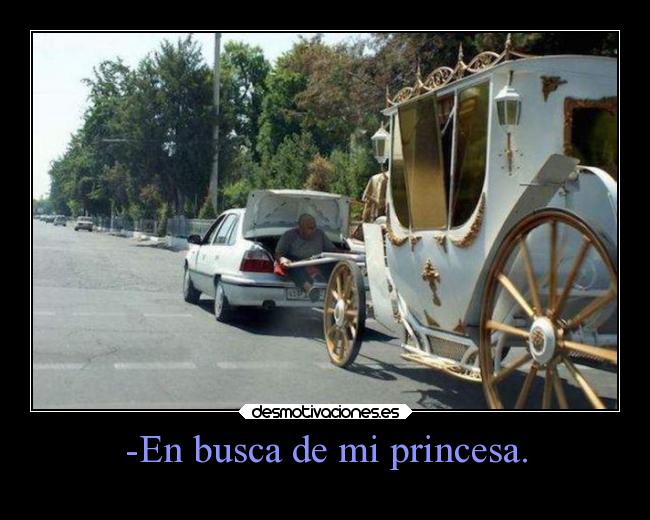 -En busca de mi princesa. -