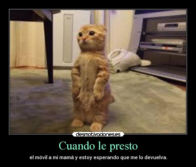 Cuando le presto - el móvil a mi mamá y estoy esperando que me lo devuelva.