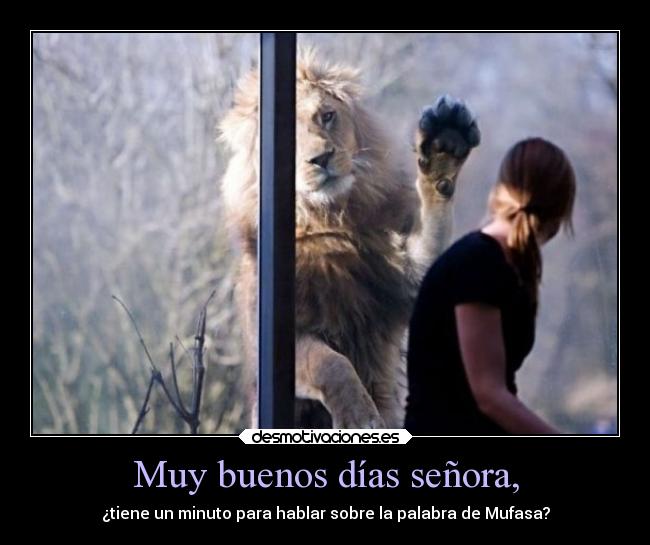 carteles humor graciosas feisbuk mufasa rilacs desmotivaciones
