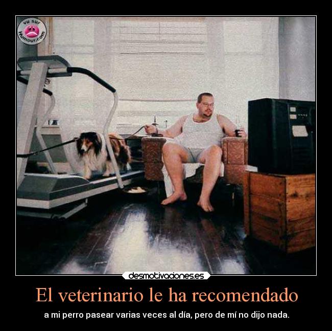 carteles humor graciosas pasear veterinario perro rilacs desmotivaciones