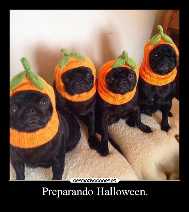 Preparando Halloween. -