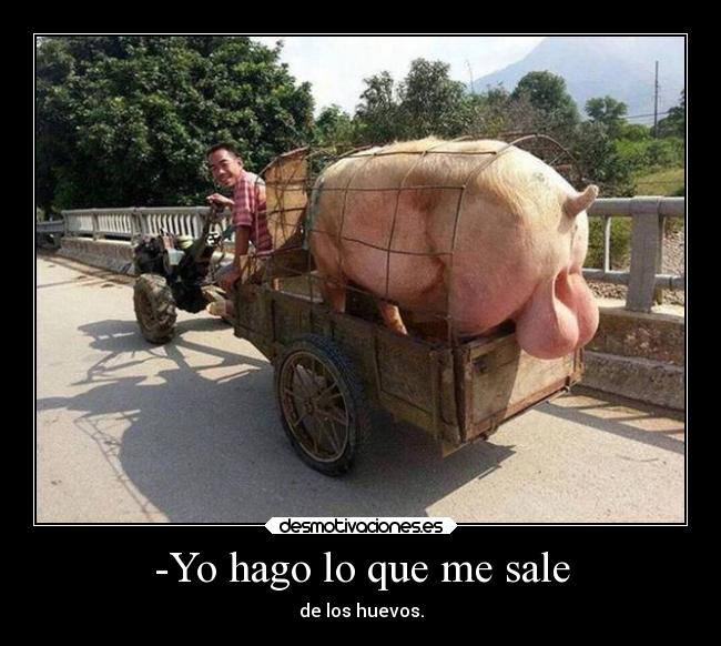 carteles humor hola slowpoke pikachu snorlax soyunputoamo joder desmotivaciones