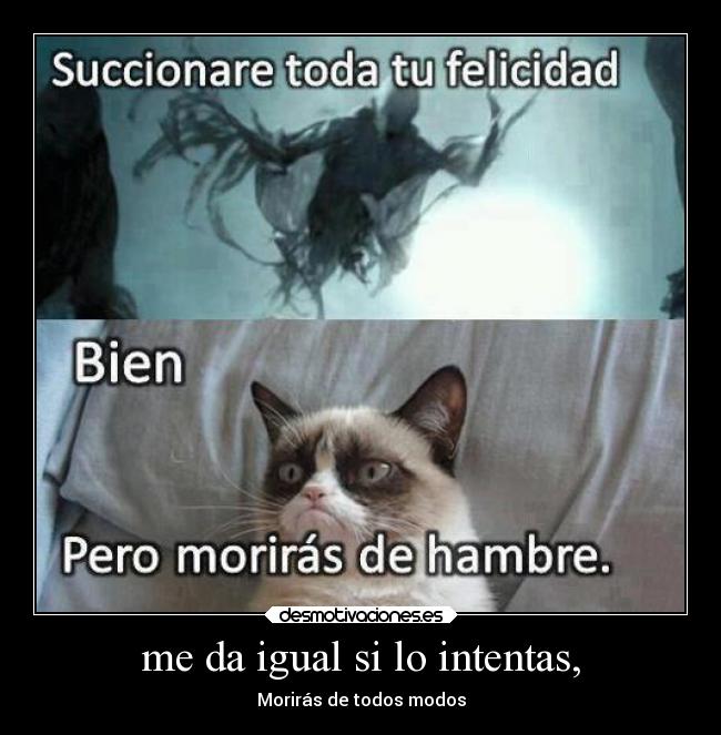 carteles humor ideas mal desmotivaciones