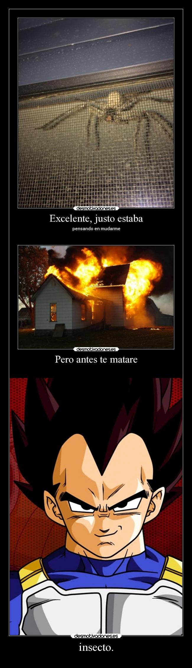 carteles humor insectos vegueta desmotivaciones