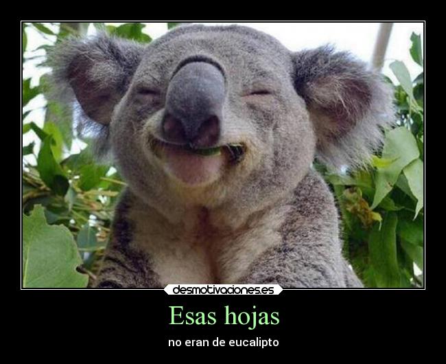 Esas hojas - 
